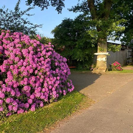 Appartamento Unter Den Eichen Botersen Esterno foto
