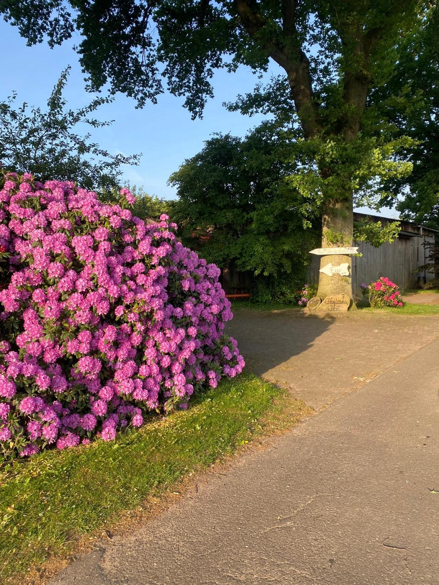 Appartamento Unter Den Eichen Botersen Esterno foto